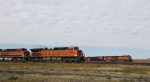 Mainline Train Zips By While Sweetgrass Branch Train (right) Waits